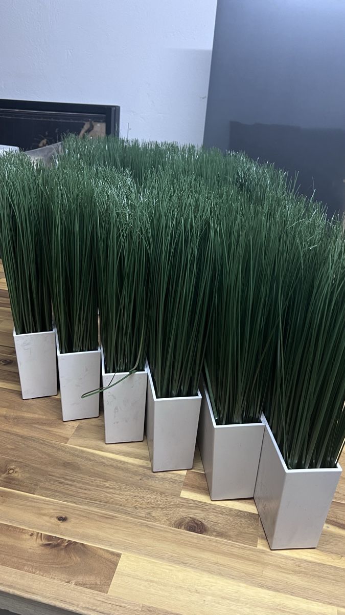 Ikea Tutte le decorazioni: 12 Kunstgras Pflanzen IKEA  mit weissem Topf Grösse – Usato da Wil SG venduto da mia2016 1