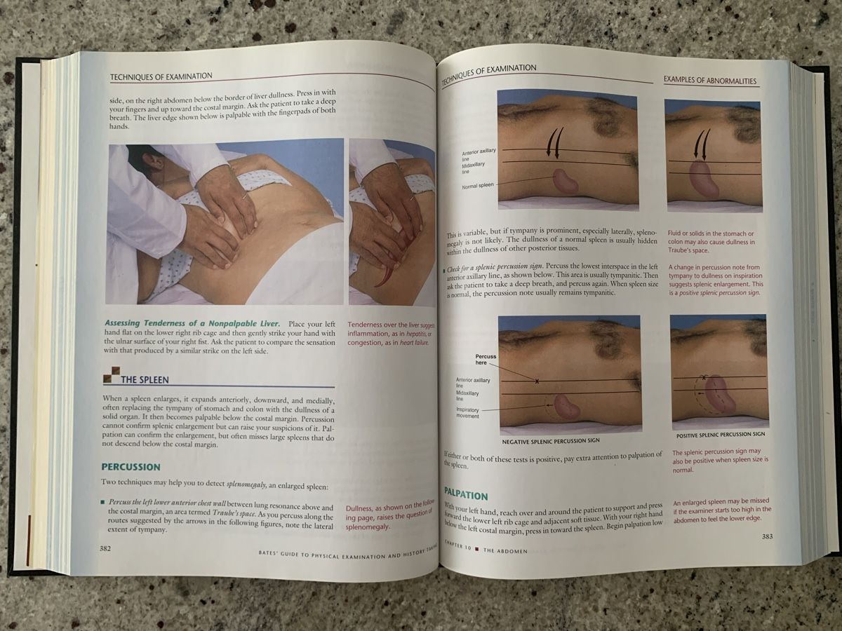Libri: Bates' Guide to Physical Examination 9th Edition – Usato da Genève venduto da sunsustains 6