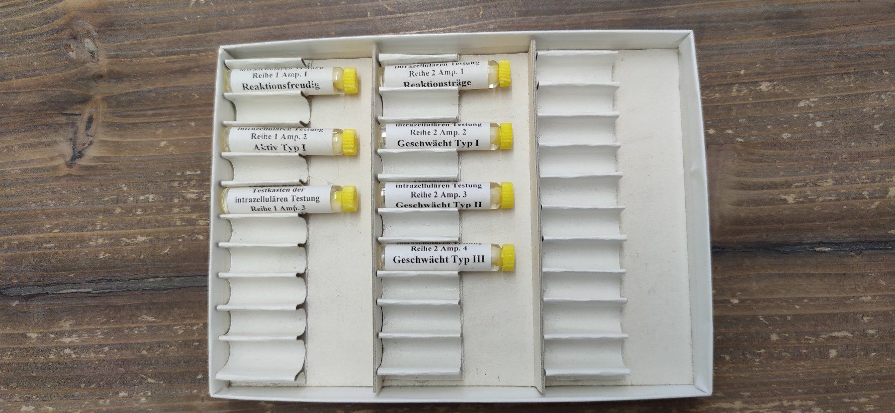 Attrezzature mediche: Keymer Testkasten "intrazelluläre Testung" Bioresonanz/EAV – Usato da Eiken venduto da alipanther01