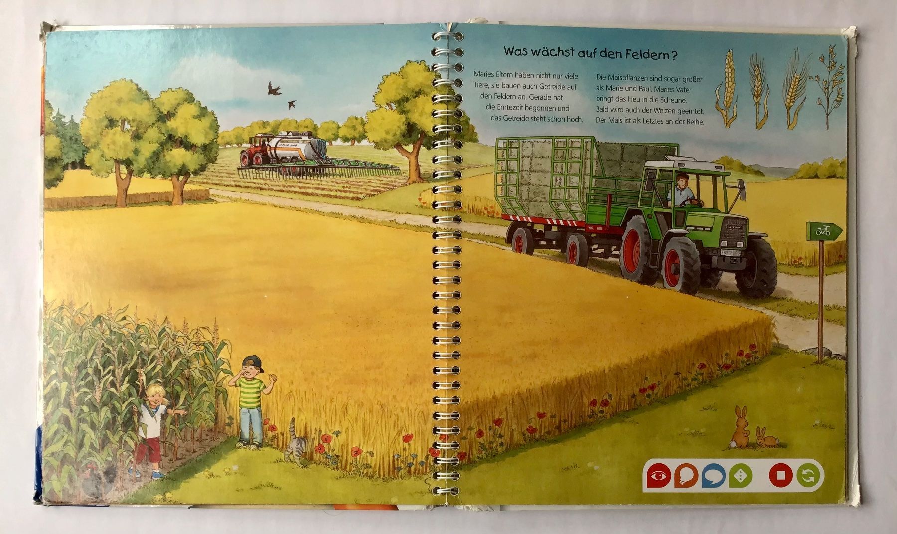 Libri: tiptoi - Buch: Entdecke den Bauernhof – Usato da Bubendorf venduto da Alpenheidi 8