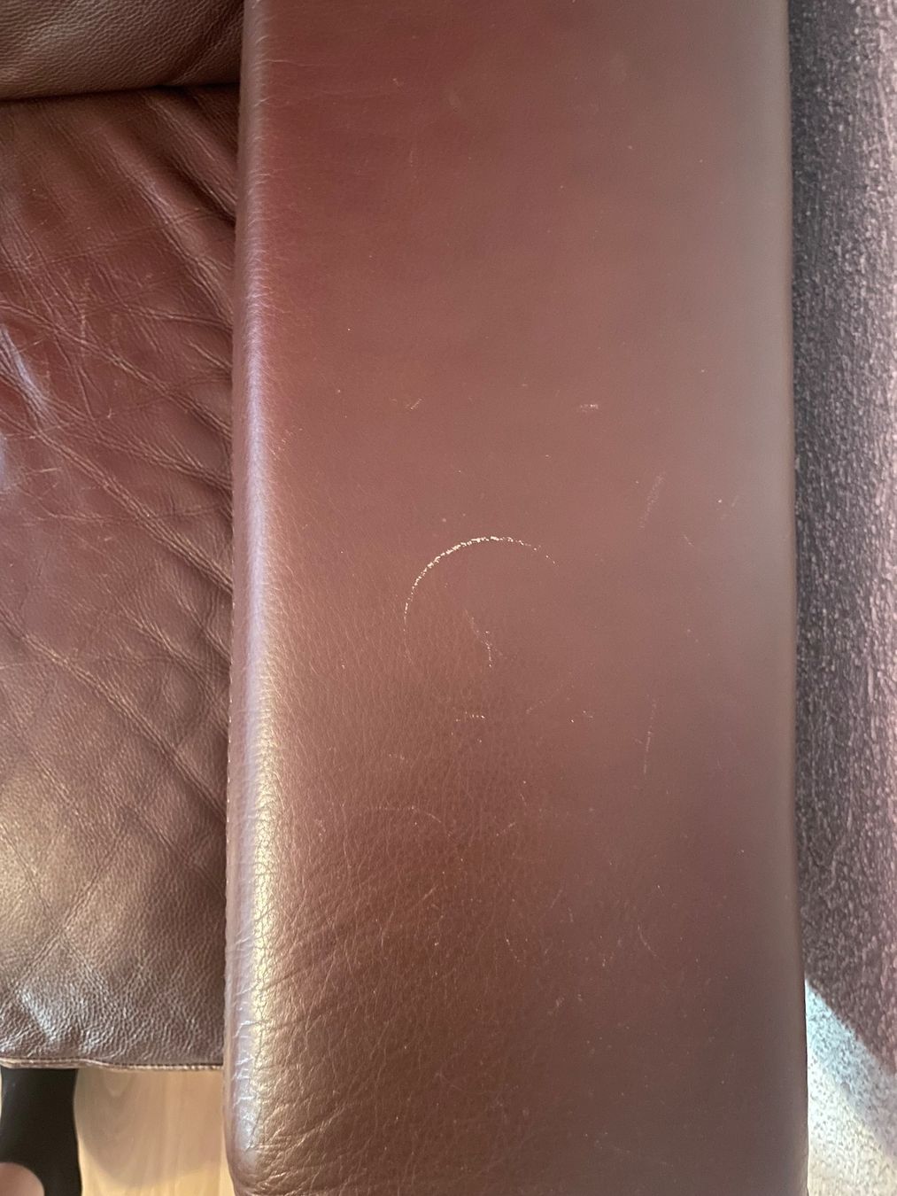 Fauteuils: Ledersessel – D'occasion à St. Niklausen LU par sch_9mdh 4