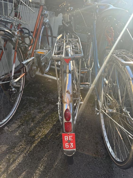 Damenfahrrad / Velo für LiebhaberInnen 5
