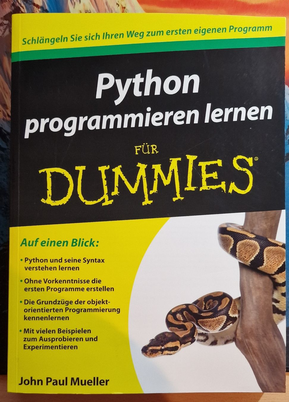 Bücher: Python programmieren lernen für Dummies – Gebraucht aus Winterthur von
