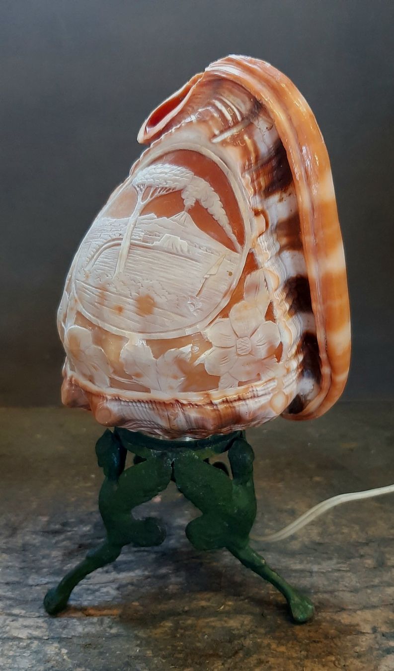 Lampen: Antike mediterrane Muschel Lampe – Gebraucht aus Arbon von torso444