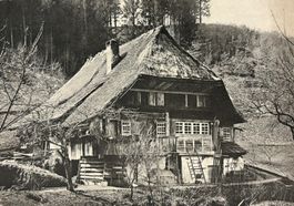 MONO-Karte 1906 - Schwarzwaldhaus, Strohdach, Landwirtschaft