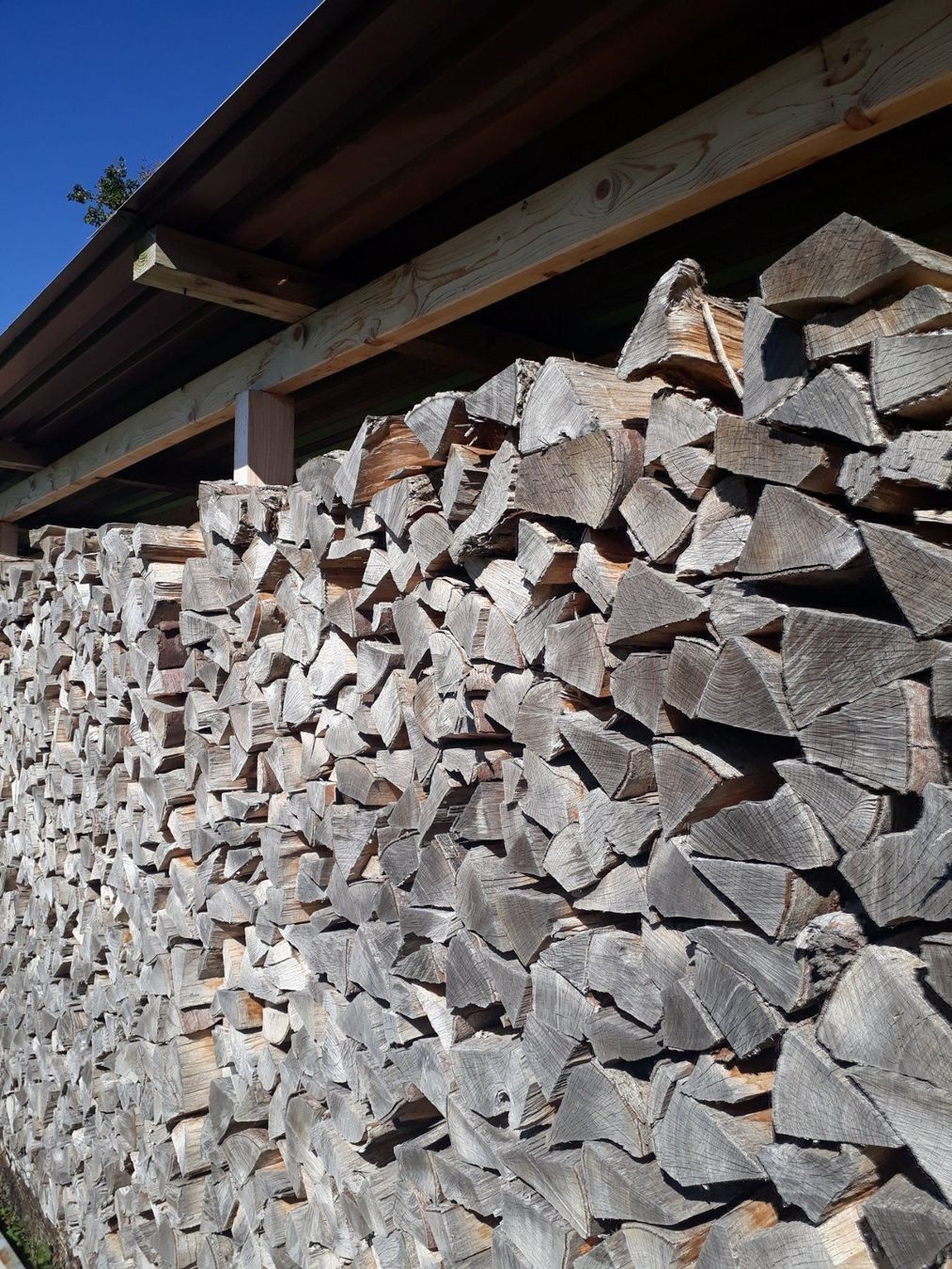 Articoli in legno: Brennholz Buche – Nuovo e nell'imballaggio originale da Benken SG venduto da Fre633 1