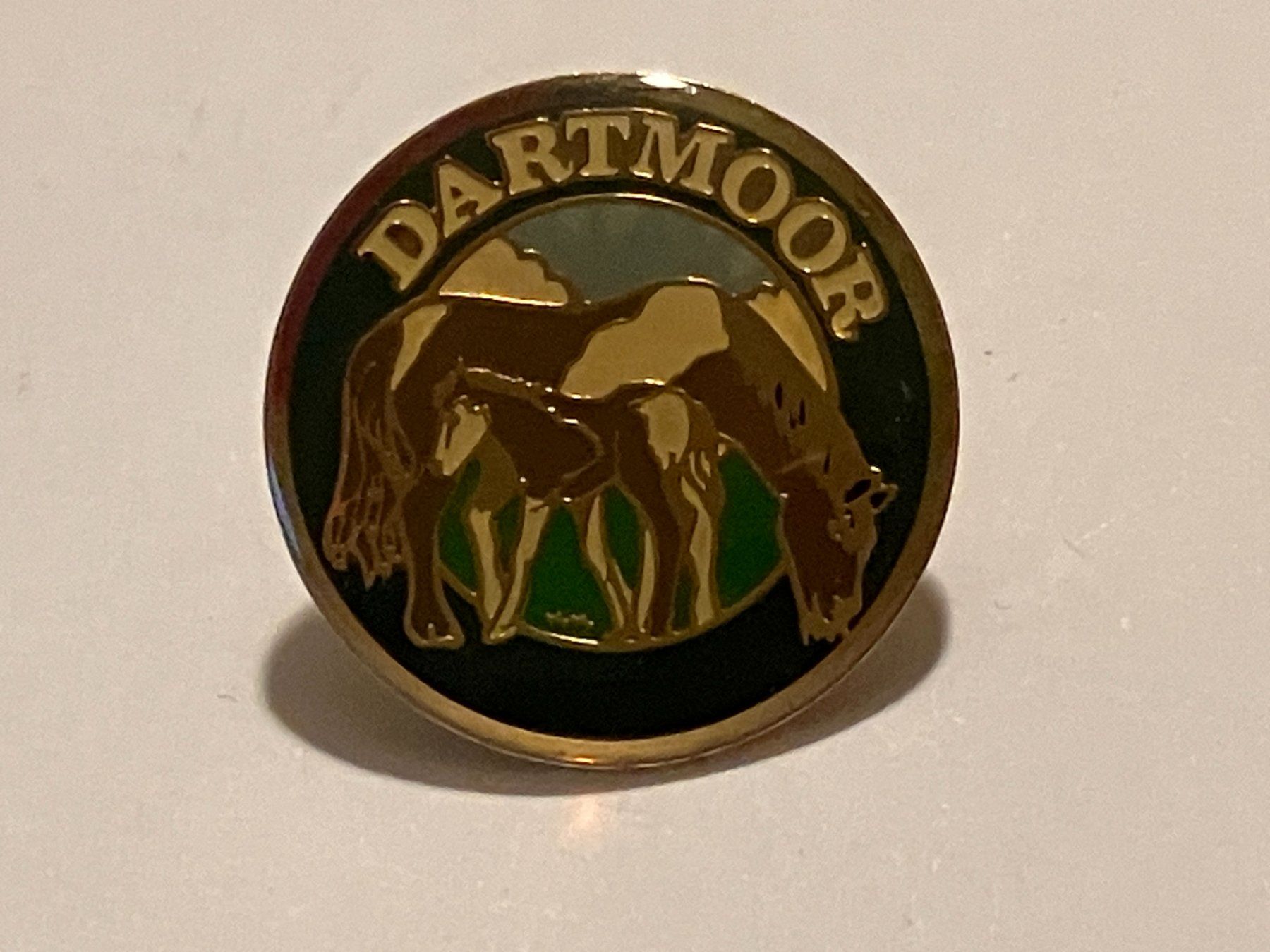 Placchette & Badge: 1 Pin Dartmoor – Usato da Basel venduto da djwwpp
