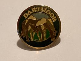 1 Pin Dartmoor