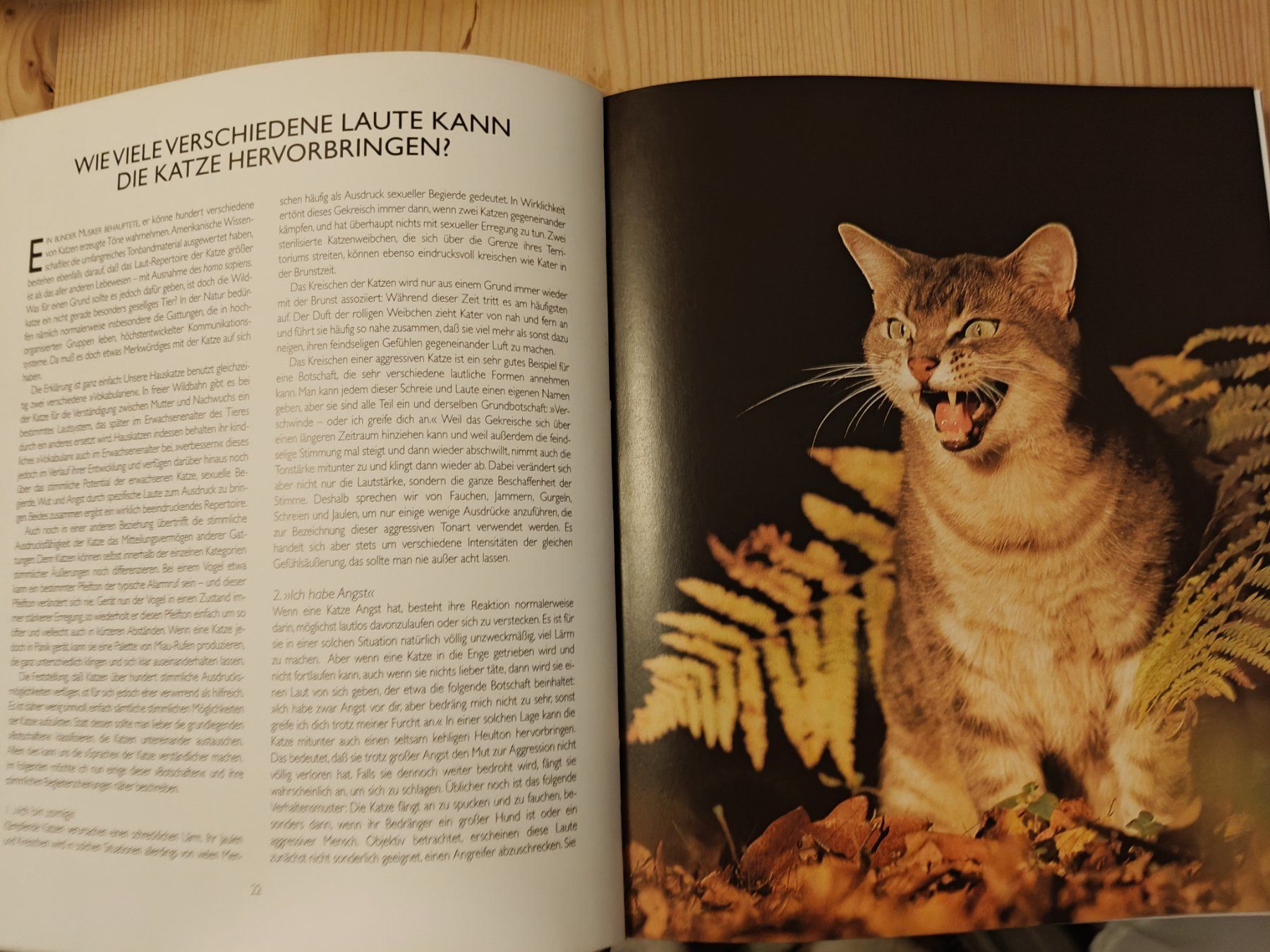 Libri: ° Catwatching - Körpersprache der Katze / Desmond Morris – Usato da Muttenz venduto da Negnuja 2