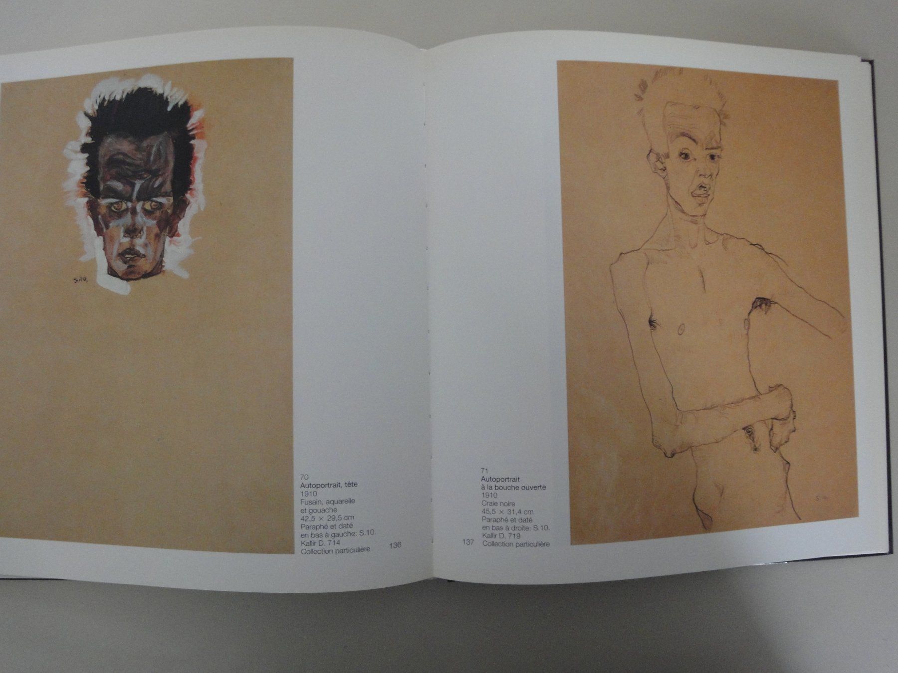 Libri: EGON SCHIELE – Nuovo (secondo la descrizione) da Biel/Bienne venduto da 07helios032 8