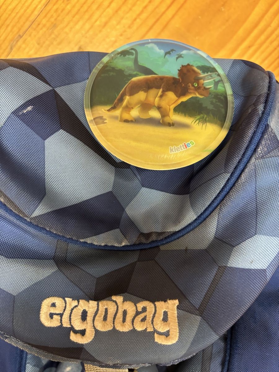 Ergobag Kindertaschen: Ergobag Rucksack Kinder – Gebraucht aus Büren an der Aare von Nikito2001 1