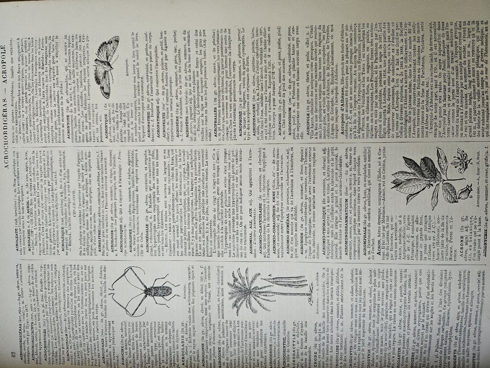 Libri: Nouveau Larousse illustré – Usato da Delémont venduto da LeaCai 4