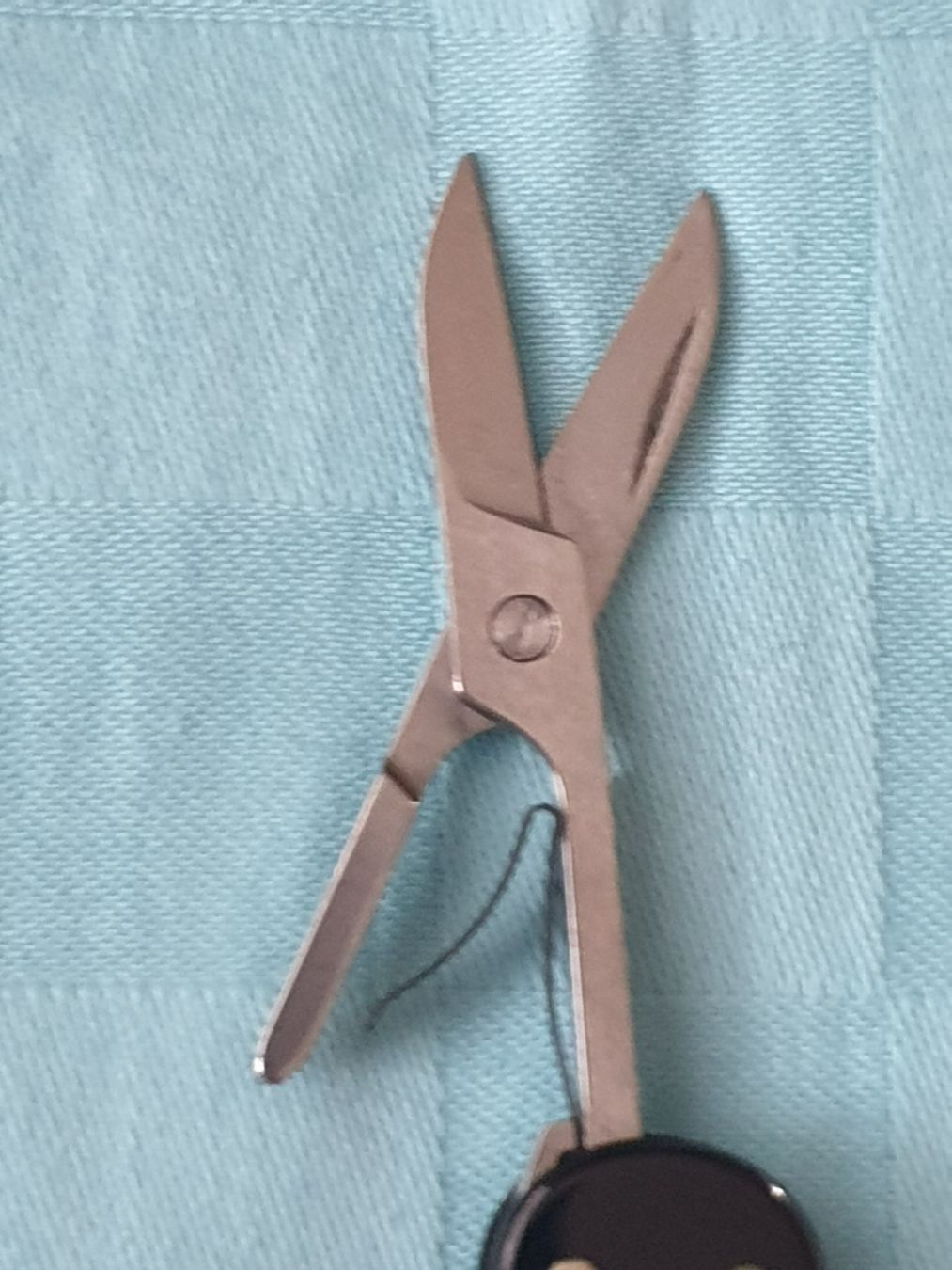 Victorinox Coltelli tascabile: Taschenmesser VICTORINOX SAURER – Usato da Mörschwil venduto da spirspi 5