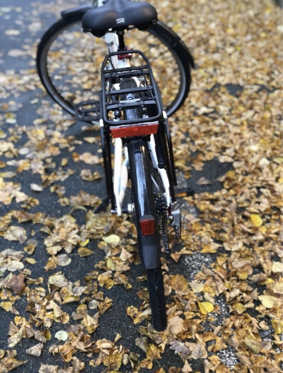 Biciclette: Velo Pegasus – Usato da Meggen venduto da mil_9p8n 2