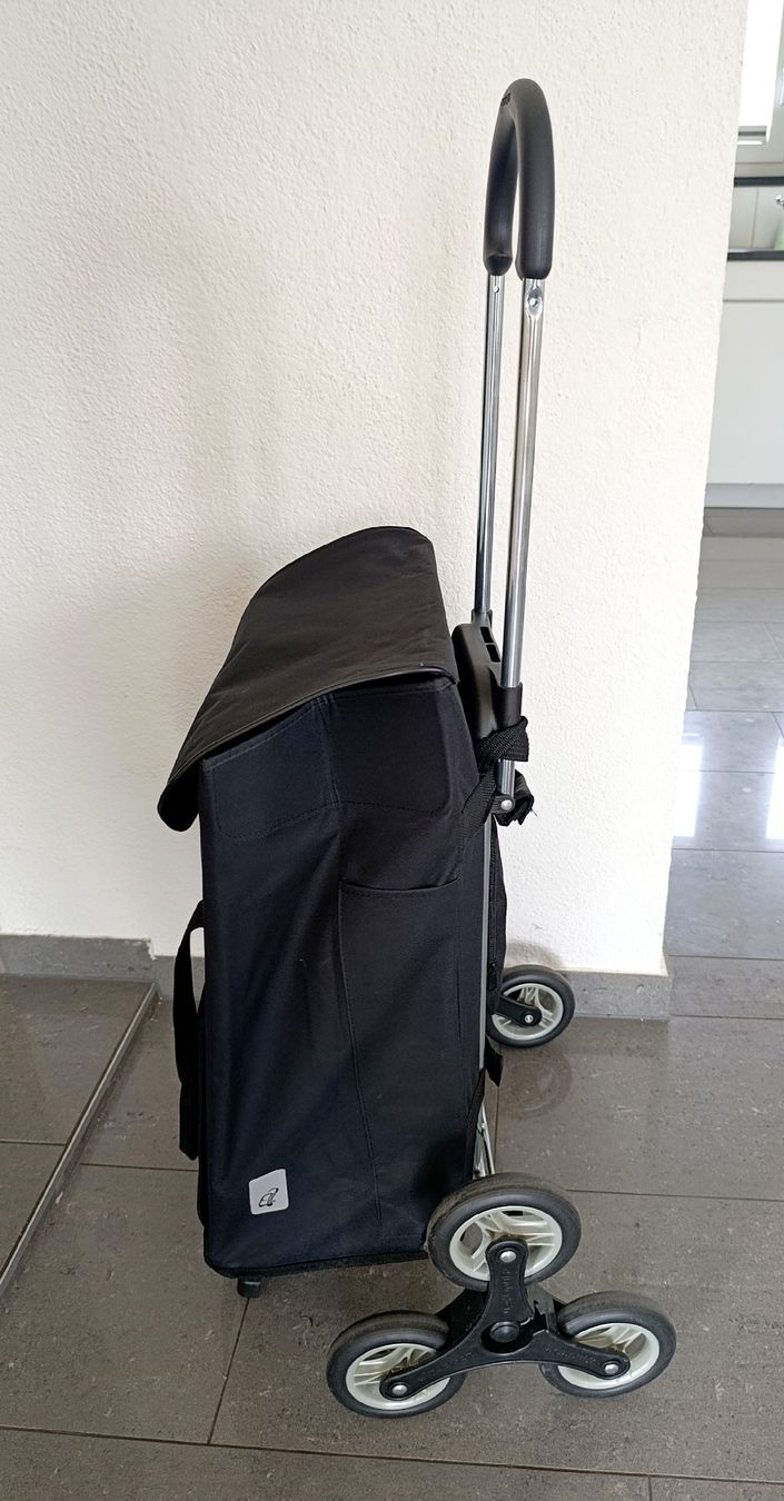 Altro per la casa: Andersen Einkaufstrolley 6 Räder Treppensteiger – Usato da Wil SG venduto da Donaldus 3