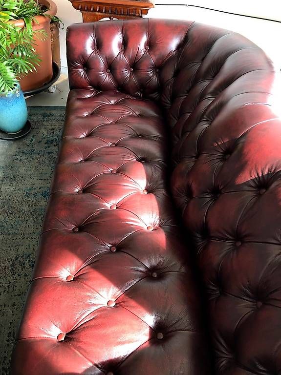 Divani: Chesterfield Couch Sofa Echtleder Massiv – Usato da Neuhausen am Rheinfall venduto da Longcat 3