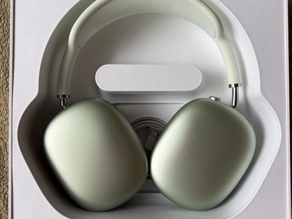 Apple Cuffie: Apple AirPods Max Grün Versand OK – Usato da Neuchâtel venduto da Roxy_777
