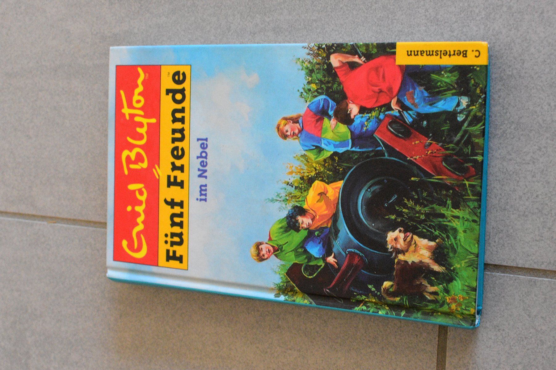 Libri: Fünf Freunde Buch 2 Stk – Usato da Winterthur venduto da seh_9dhc 2