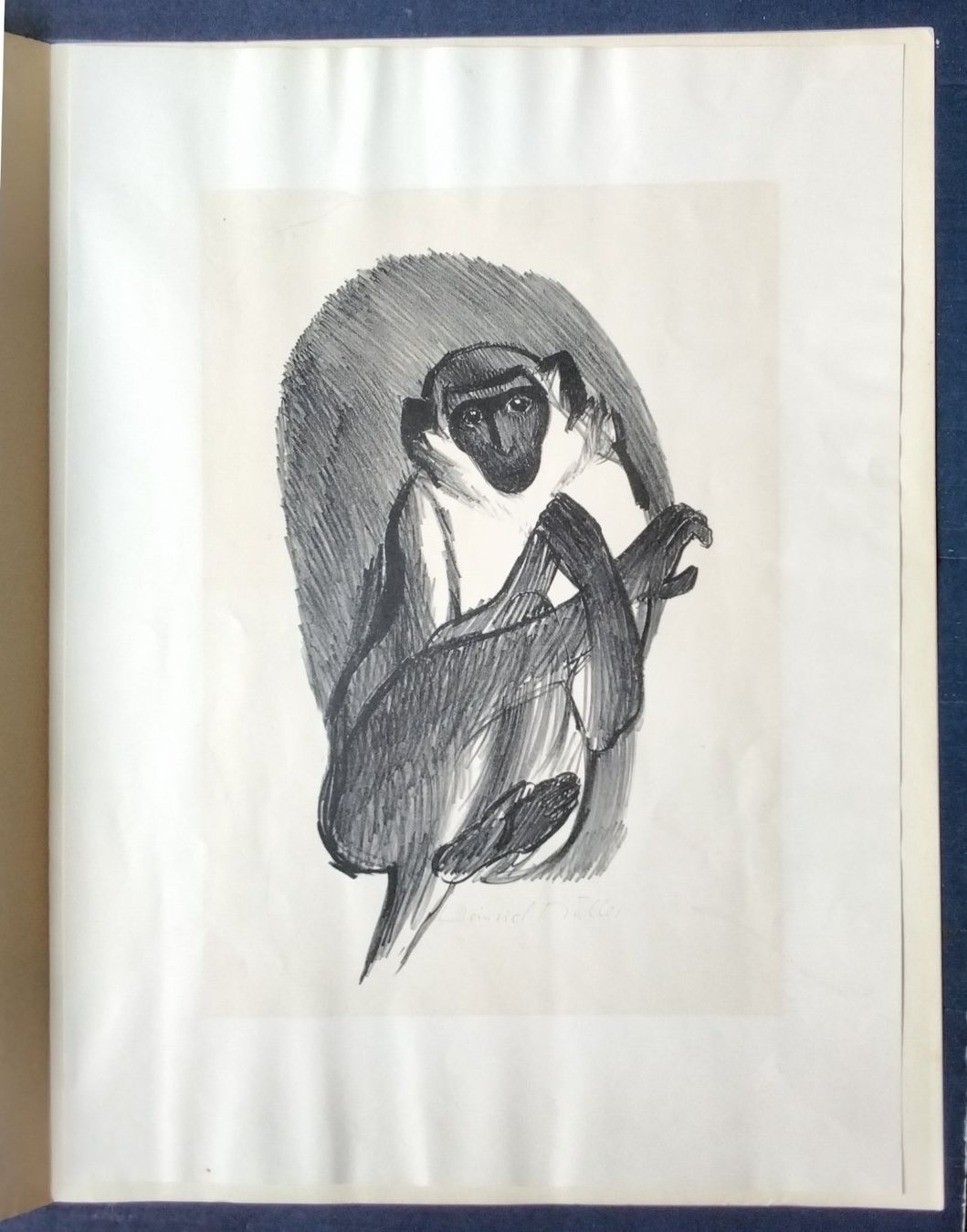 Grafica & Litografie: H. Müller Lithographie signiert – Usato da Cavigliano venduto da zamamasa 2