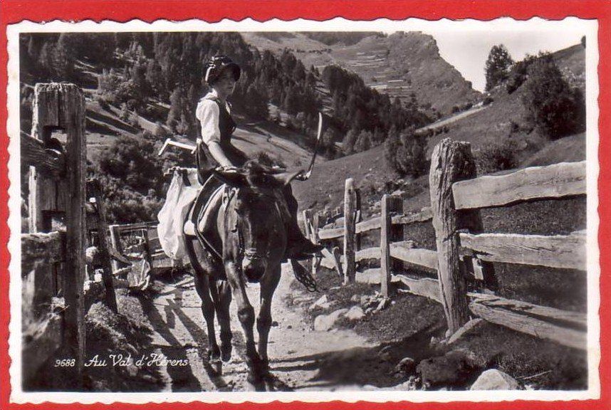 Cartoline postali: AU VAL D'HÉRENS, MAULTIER, MULET, MULE – Usato da Grüningen venduto da Kartenlaube
