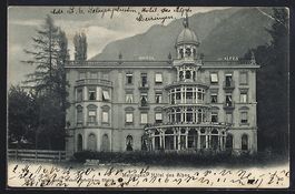 AK Meiringen, Hotel des Alpes, 1905