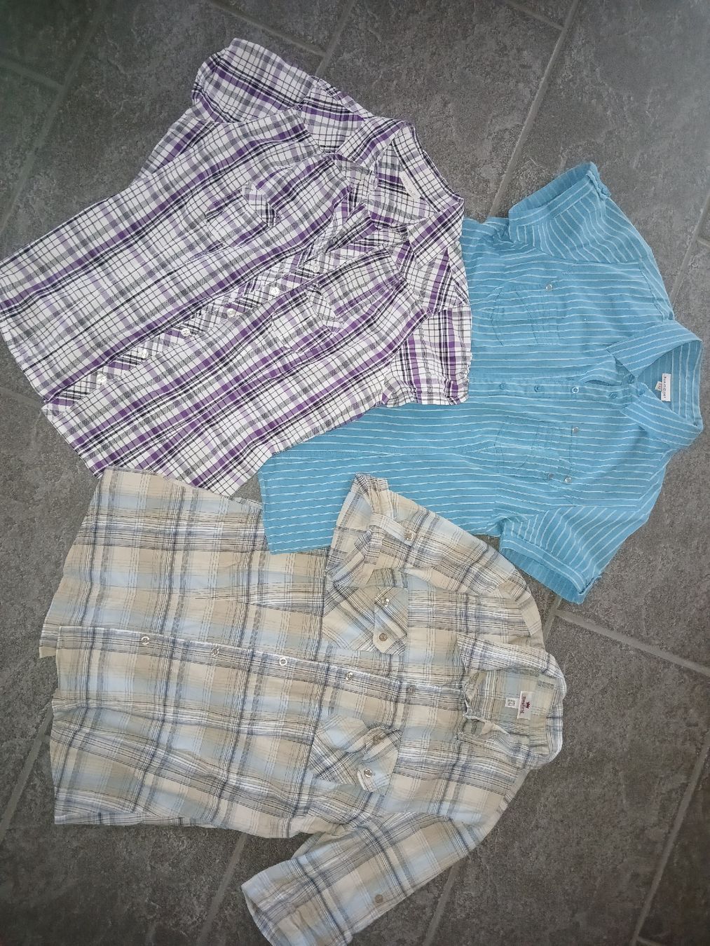 Blusen: Blusen 42  3 Stk – Gebraucht aus recherswil von papamoll71