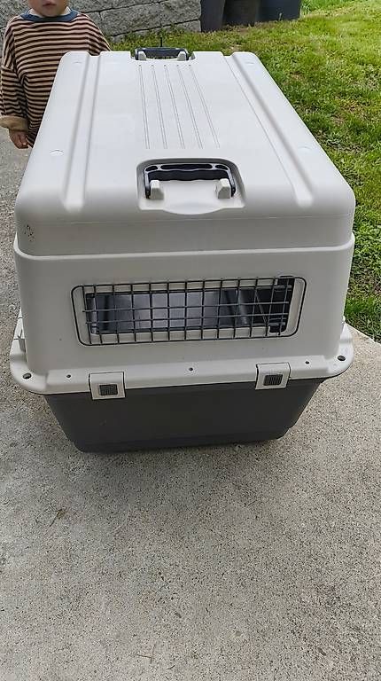 Gabbie, trasporto & Sicurezza: Hundebox / Tiertransportbox – Usato da Brunnadern venduto da lala043 1