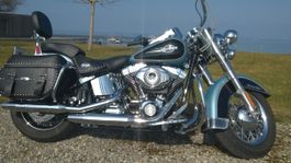 Harley Davidson FLSTC
