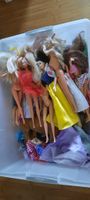 Barbies und Zubehör