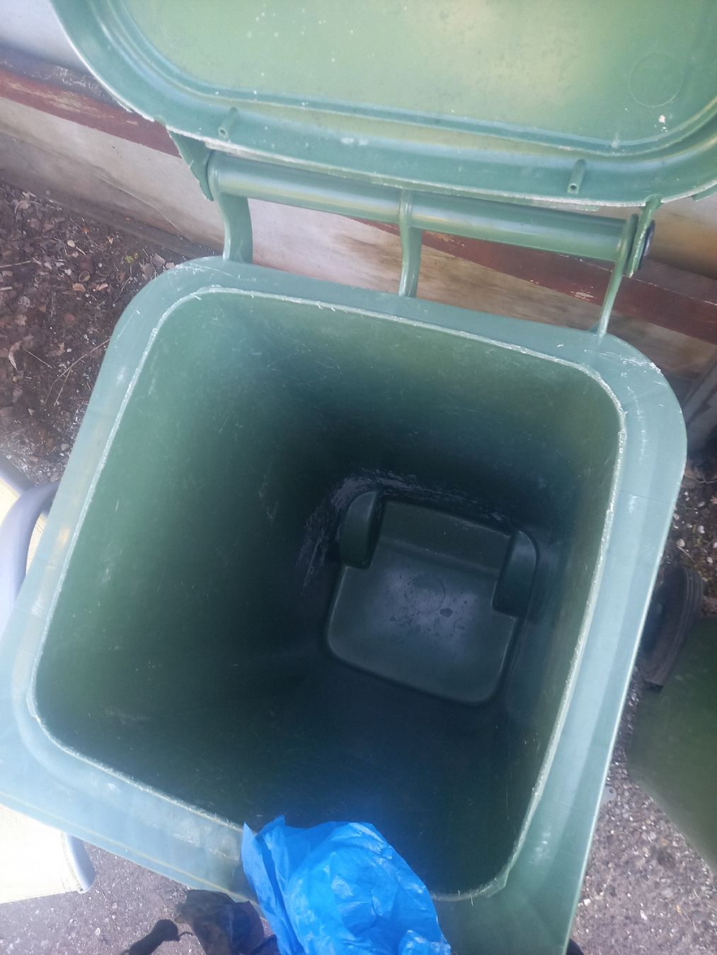 Banconi: Grüncontainer 120 Liter – Usato da NIEDERBUCHSITEN venduto da jut_lpv5 3