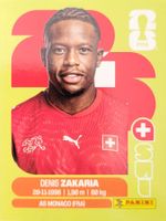 Panini FIFA World Cup SUI 10