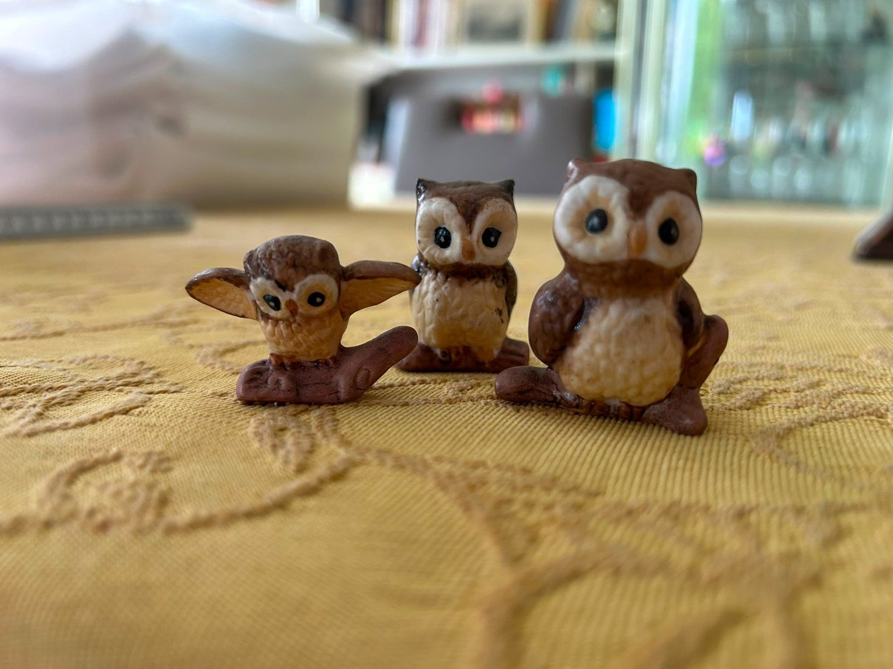 Figuren: Collezione di statuine "gufo" – Gebraucht aus Melano von H-Sara 3