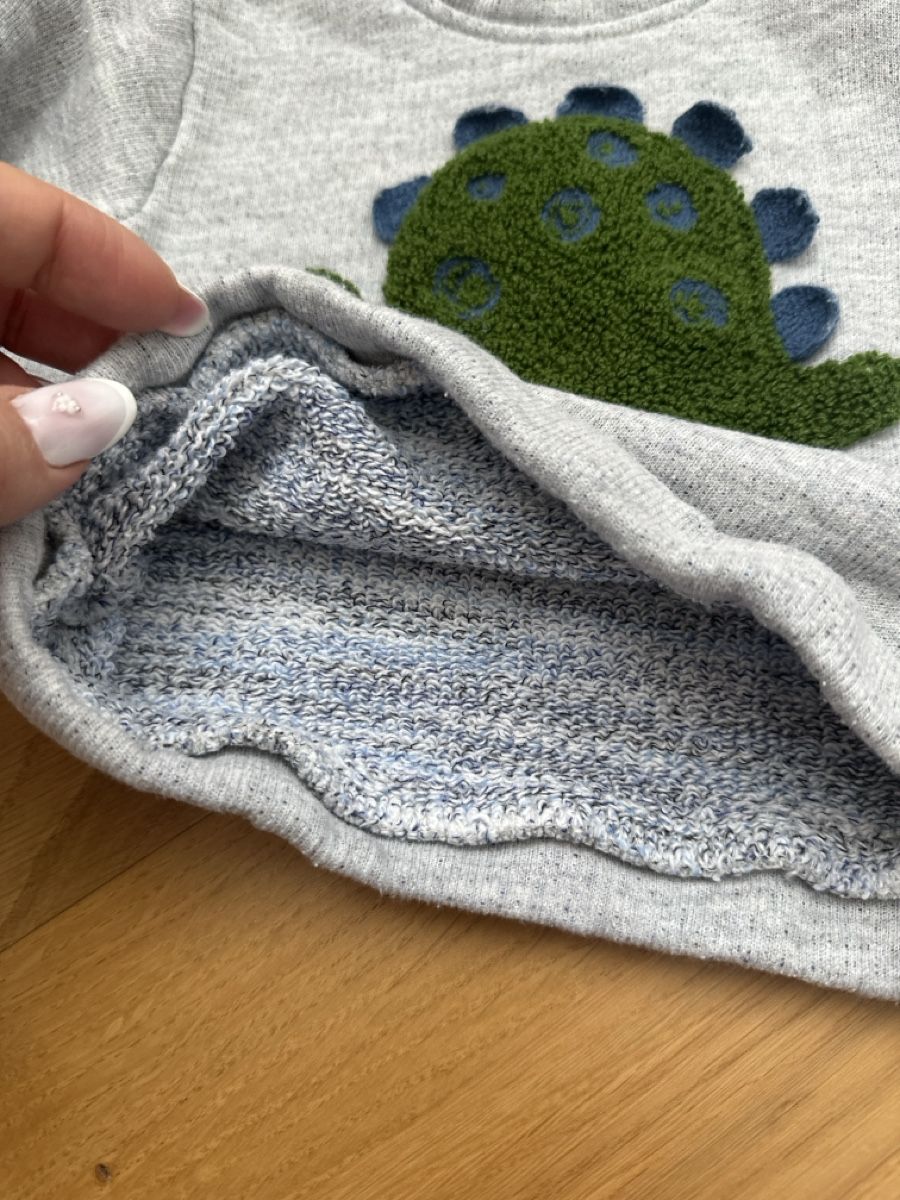 Maglioni & Felpe: Baby-Sweatshirt mit Dinosaurier – Usato da St. Gallen venduto da adr_l9jg 1