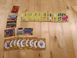 91 Panini Stickers FIFA WM 2026