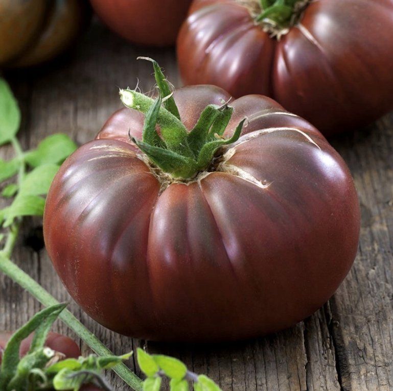 Pflanzen & Samen: Tomate Black Prince / 5 Samen – Neu (gemäss Beschreibung) aus Hinteregg von ERFOLG78