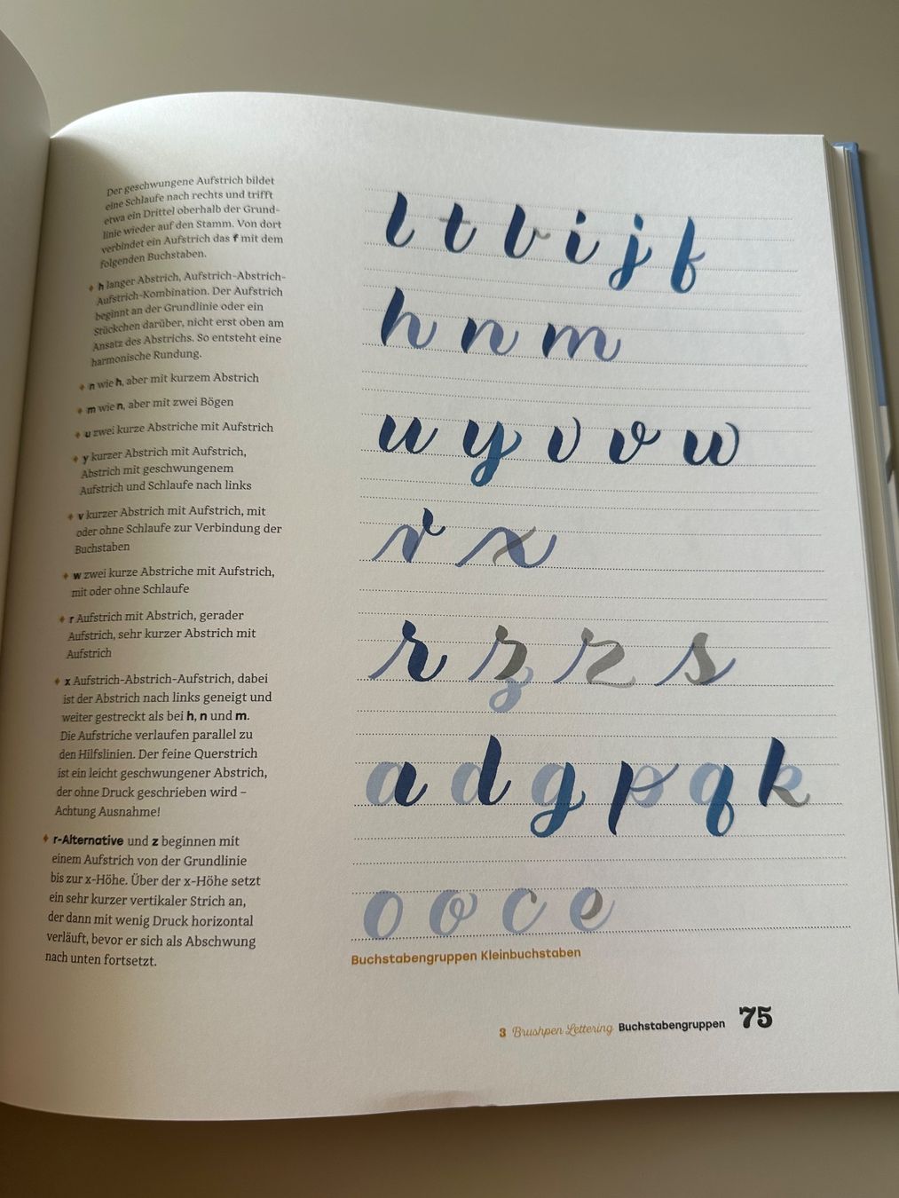 Libri: Handbuch Handlettering: Eigene Buchstaben – Usato da Zürich venduto da giga82 4