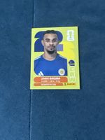  Panini cuw11