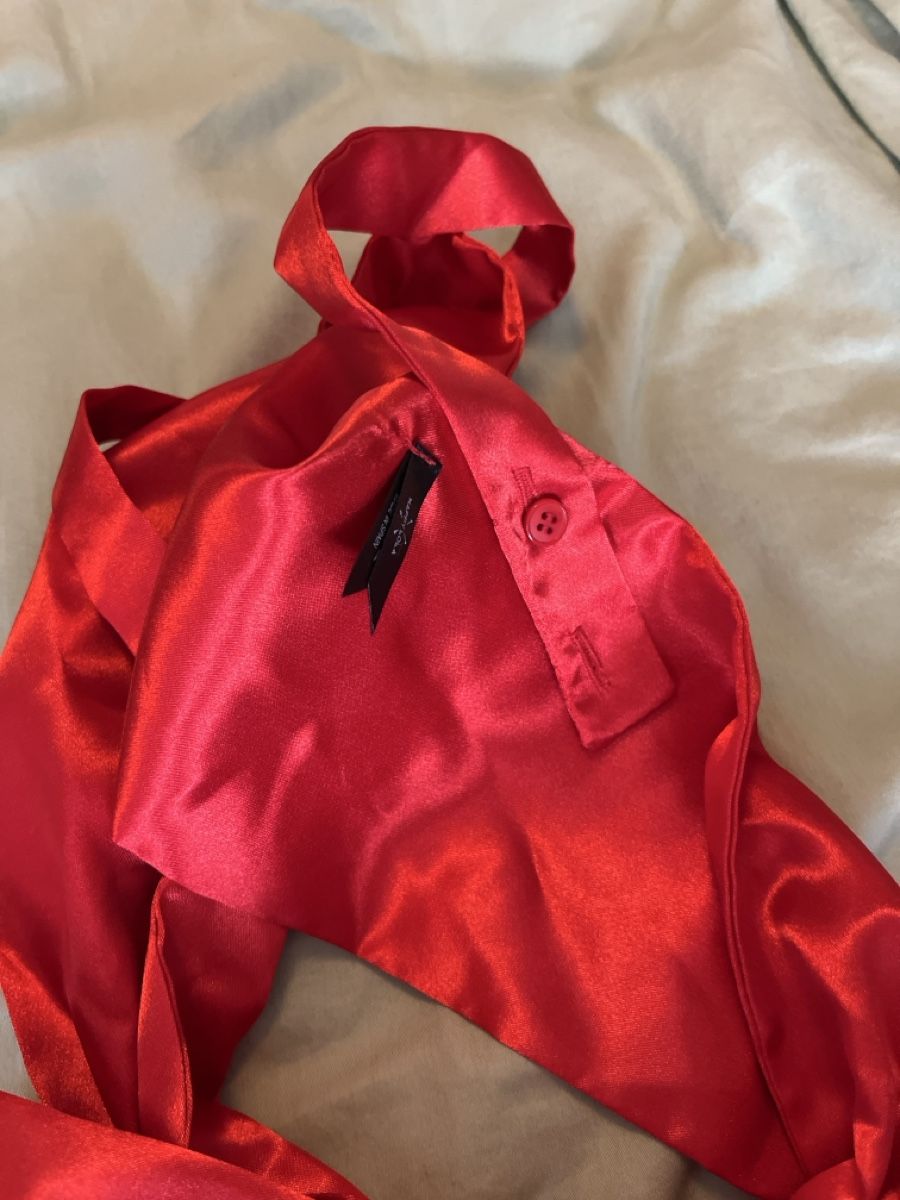 Nastri decorativi: Rote Satin Schleife, neuwertig – Usato da Zürich venduto da msxtnt 1