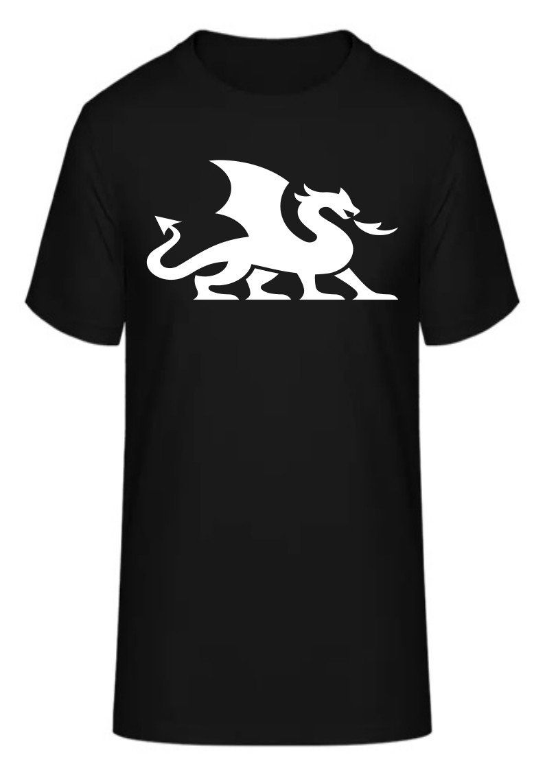 T-Shirts: T-Shirt Drache – Neu und originalverpackt aus Zürich von HarlacherIT