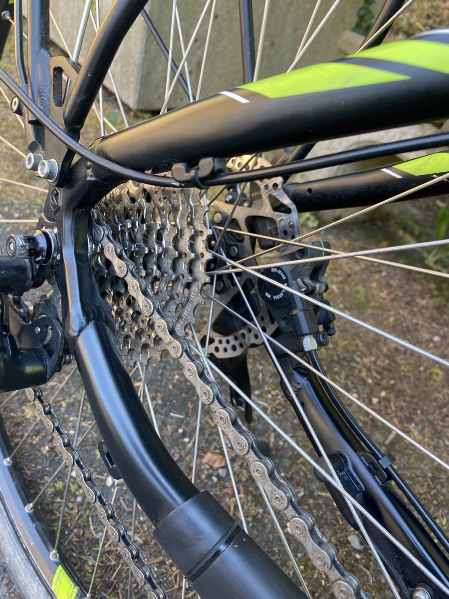 Bergamont Biciclette: BOSCH BERGAMONT E-Line – Usato da Luzern venduto da Goodmorning_16 7