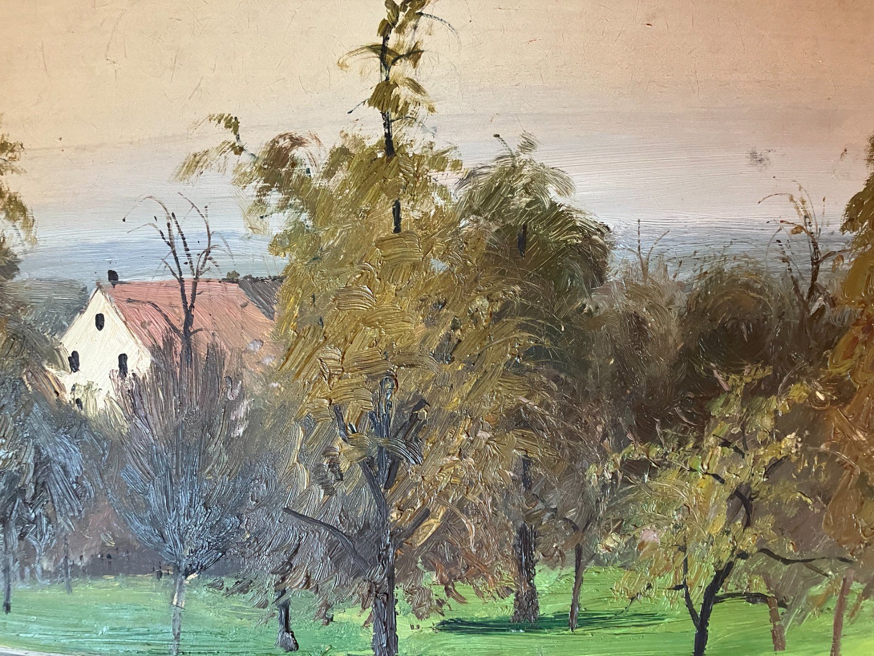 Dipinti: Max Birkenmeier – Usato da Männedorf venduto da Amleto3 1