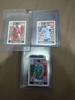 3 Extra Sticker, Davies et Pulisic Bronze, Jimenez Violet