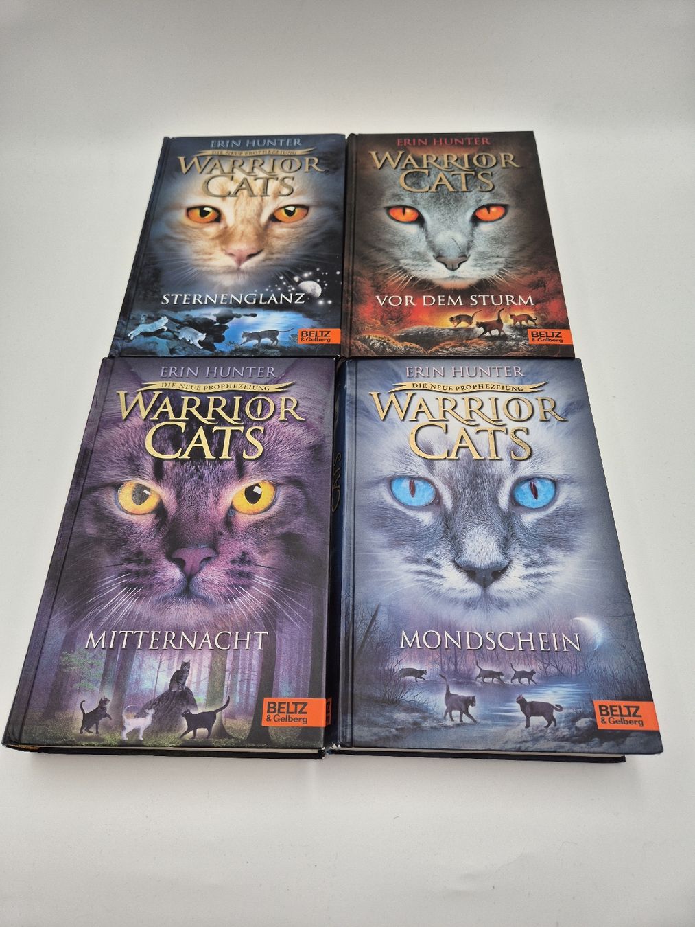 Libri: Warrior Cats, Bücher – Usato da Ettiswil venduto da beekeper13 1