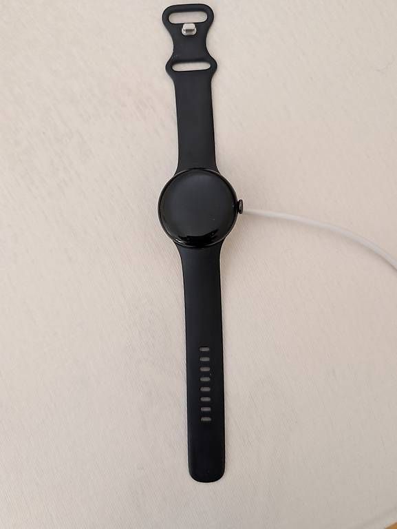 Google Smartwatch: Google Pixel Watch 2 – Usato da Biel/Bienne venduto da MisterTumbler