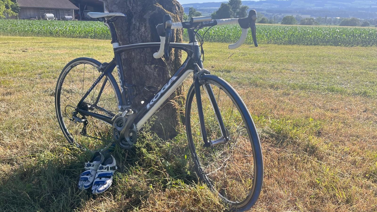 Biciclette: Rennrad Gr. 54 – Usato da Maschwanden venduto da stein856 3