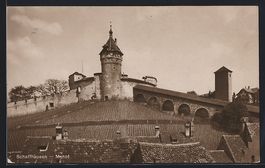 AK Schaffhausen, Munot