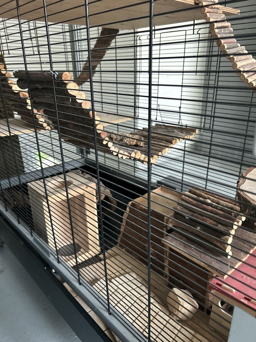 Käfige, Transport & Sicherheit: Tierkäfig – Gebraucht aus Kirchberg SG von irirob 2
