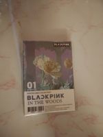 BLACKPINK IN THE WOODS Photocard Collection OVP