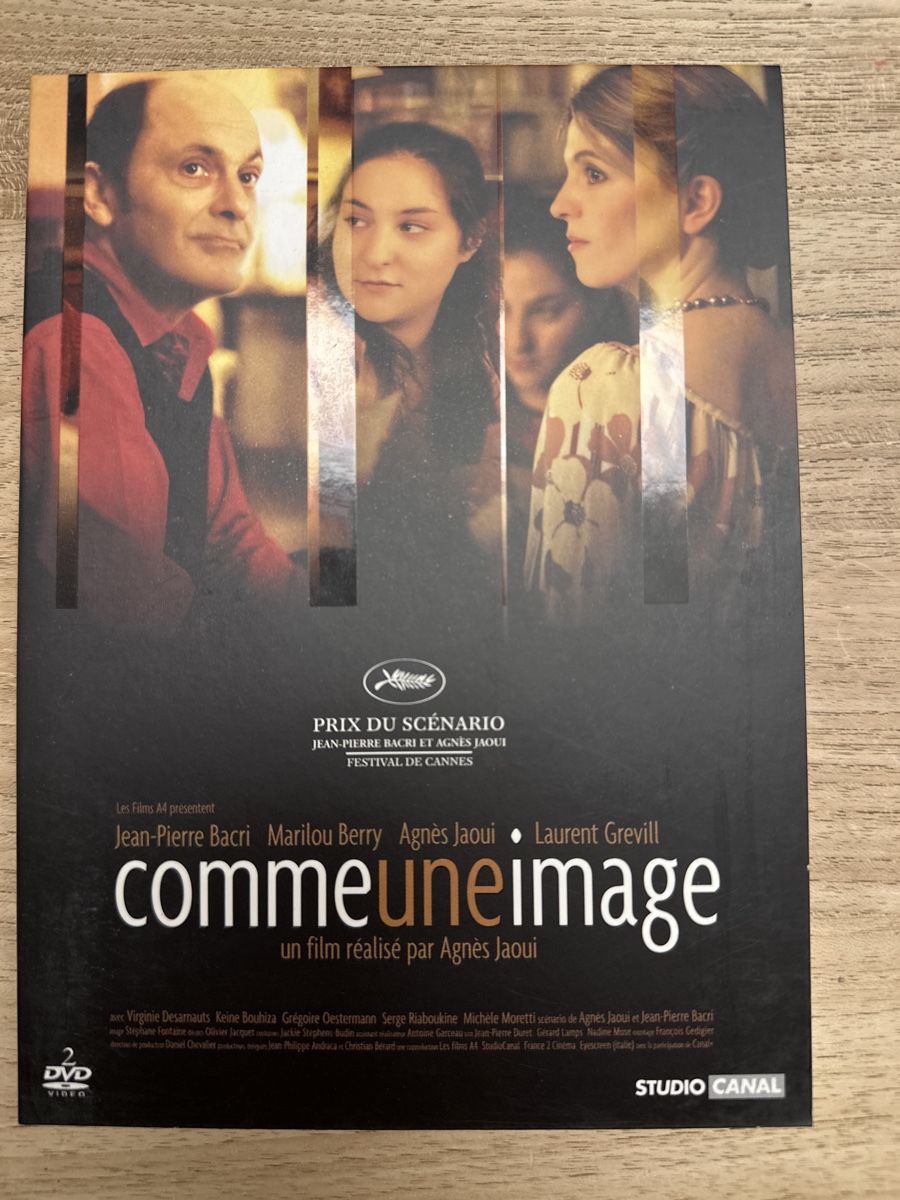 Tous les DVDs: DVD "Comme une image" d'Agnès Jaoui – D'occasion à Leytron par TipTop1912