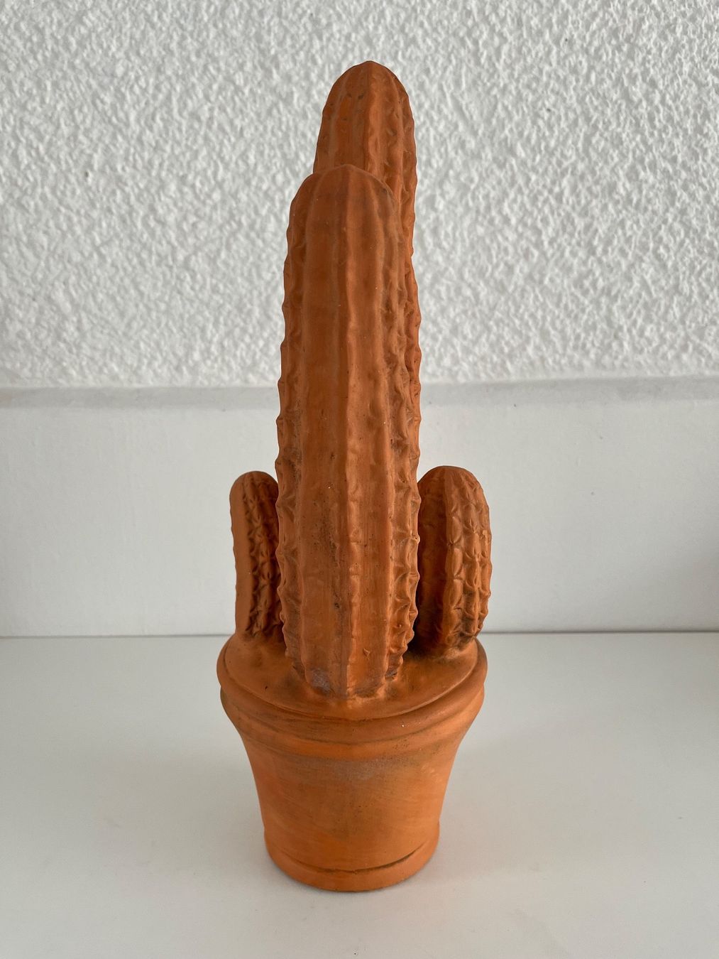 Tutte le decorazioni: Kaktus aus Terracotta – Usato da Wetzikon ZH venduto da seli03 3